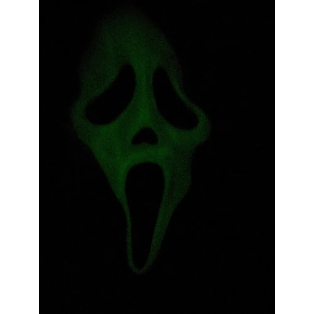 Scream Ghost Mask‎ Glow in the Dark Hood Easter Unlimited Inc